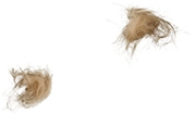 Fur